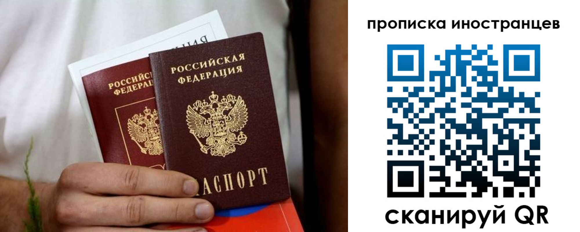 найти адрес прописки в Тольятти